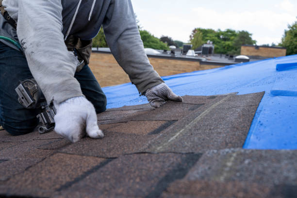Best Shingle Roofing Installation  in Diberville, MS