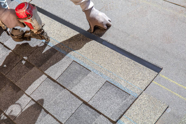 Best Roof Maintenance Services  in Diberville, MS