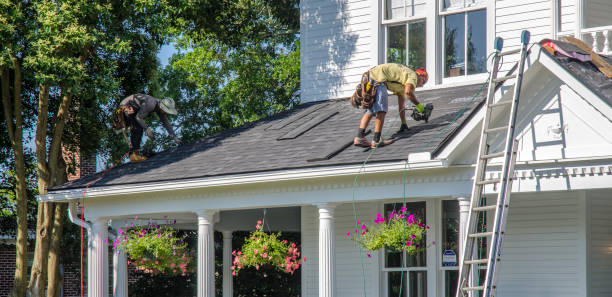 Best Roof Gutter Cleaning  in Diberville, MS